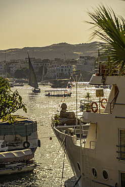 View of cruiseboats on the Nile river from the promenade on a sunny day, Aswan, Nubia, Egypt, North Africa, Africa