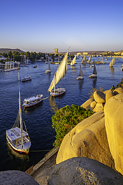 View of fellucas on the Nile river from Feryal Garden during golden hour, Aswan, Nubia, Egypt, North Africa, Africa