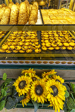 View of Pastel de Nata custard tarts in shop window in Lisbon city centre, Lisbon, Portugal, Europe
