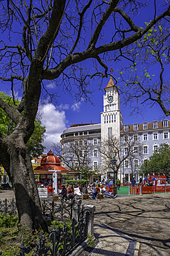 View of market stalls in Jardim Dom Luis Gardens on a sunny day, Lisbon, Portugal, Europe
