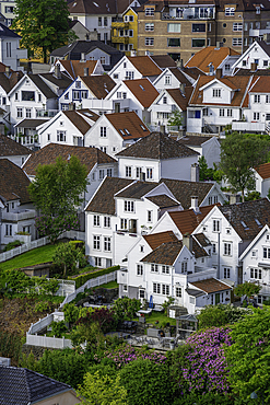 Aerial view of white wooden cottages in Gamle Stavanger during daytime, Stavanger, Norway, Scandinavia, Europe