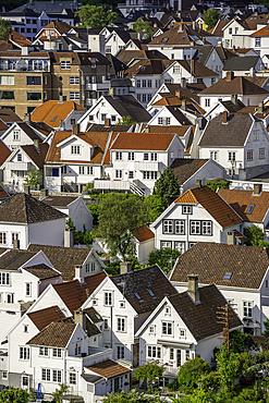 Aerial view of white wooden cottages in Gamle Stavanger during daytime, Stavanger, Norway, Scandinavia, Europe