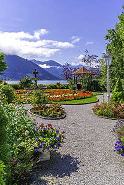 View of garden overlooking Lake Zell in Zell am See on a sunny day, Zell am See, Salzburg, Austria, Europe