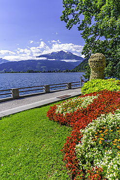 View of garden overlooking Lake Zell in Zell am See on a sunny day, Zell am See, Salzburg, Austria, Europe