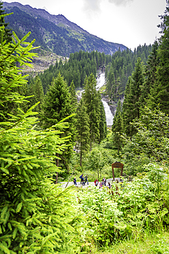 View of Krimml Waterfalls during summer, Krimml Waterfalls, Hohe Tauern National Park, Salzburger Land, Austria, Europe