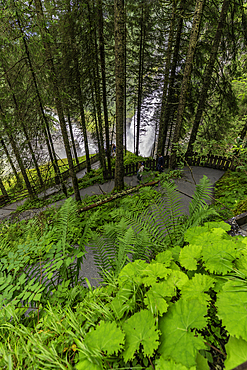 View of Krimml Waterfalls during summer, Krimml Waterfalls, Hohe Tauern National Park, Salzburger Land, Austria, Europe