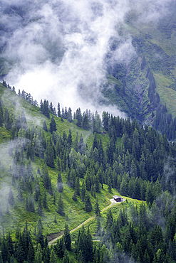 View of cabin among pine trees and cloud from Schmittenhöhebahn top station 2000m on a sunny day, Zell am See, Salzburg, Austria, Europe