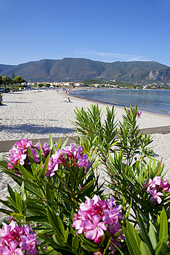 Beach scene, Alykanas, Zakynthos, Ionian Islands, Greek Islands, Greece, Europe