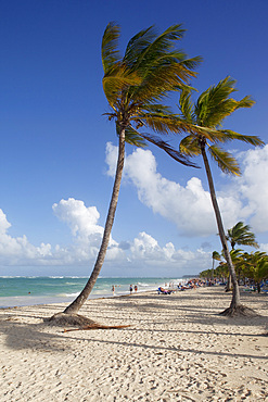 Bavaro Beach, Punta Cana, Dominican Republic, West Indies, Caribbean, Central America