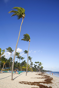 Bavaro Beach, Punta Cana, Dominican Republic, West Indies, Caribbean, Central America
