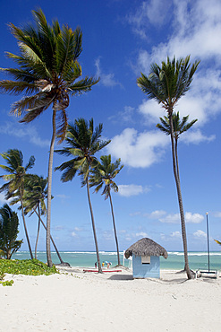 Bavaro Beach, Punta Cana, Dominican Republic, West Indies, Caribbean, Central America