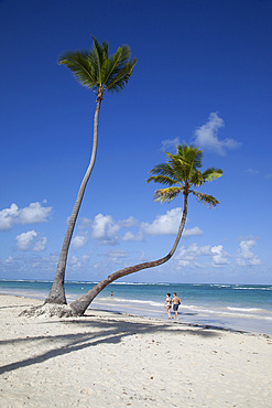 Bavaro Beach, Punta Cana, Dominican Republic, West Indies, Caribbean, Central America