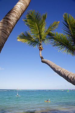 Bavaro Beach, Punta Cana, Dominican Republic, West Indies, Caribbean, Central America