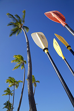 Palms and paddles, Bavaro Beach, Punta Cana, Dominican Republic, West Indies, Caribbean, Central America