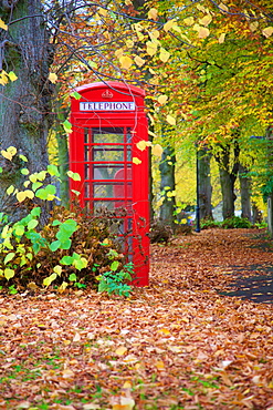 Red telephone box in autumn, Teversal Village, Nottinghamshire, England, United Kingdom, Europe