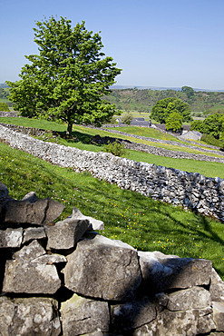 Dry stone walls, Hartington, Peak District, Derbyshire, England, United Kingdom, Europe