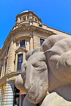 Stone ram, Derby, Derbyshire, England, United Kingdom, Europe