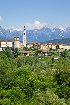 View of town and Duomo of San Martino, Belluno, Province of Belluno, Veneto, Italy, Europe