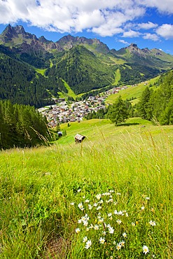 View over town, Arabba, Belluno Province, Trento, Dolomites, Italy, Europe