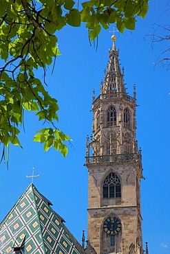 Duomo, Walther Platz, Bolzano, Bolzano Province, Trentino-Alto Adige, Italy, Europe