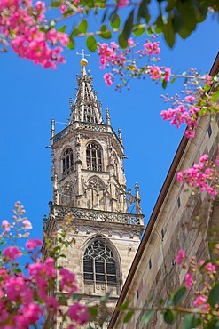 Duomo, Walther Platz, Bolzano, Bolzano Province, Trentino-Alto Adige, Italy, Europe