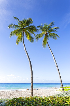 Hastings Beach, Bridgetown, Christ Church,, Barbados, West Indies, Caribbean, Central America