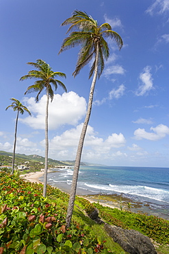 Bathsheba Beach, Bathsheba, St. Joseph, Barbados, West Indies, Caribbean, Central America