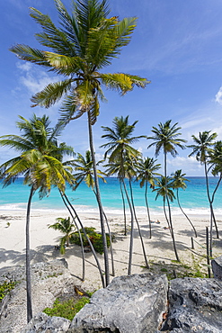 Bottom Bay, St. Philip, Barbados, West Indies, Caribbean, Central America