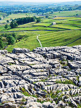 Limestone pavement, Malham Cove, Yorkshire Dales National Park, North Yorkshire, England, United Kingdom, Europe