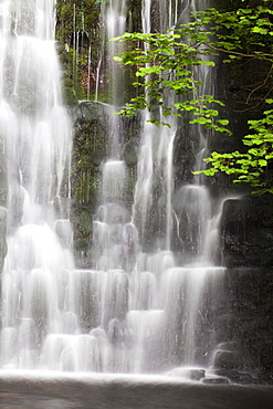 Scale Haw Force near Hebden in Wharfedale, Yorkshire Dales, Yorkshire, England, United Kingdom, Europe