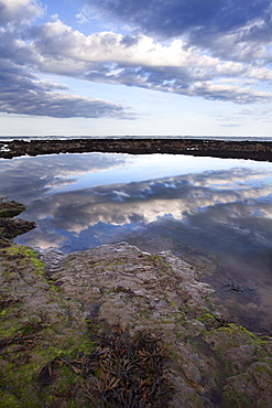 Rock Pools on the Beach at Robin Hoods Bay, Yorkshire, England, United Kingdom, Europe