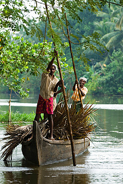 Locals transporting palm leaves on the Backwaters, near Alappuzha (Alleppey), Kerala, India, Asia