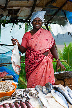 Roadside fish seller, Kerala, India, Asia