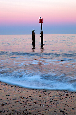 Seascape with wooden posts, Southwold, Suffolk, England, United Kingdom, Europe