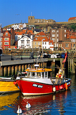 View over fishing harbour to St. Mary's Church, Whitby, Yorkshire, England, United Kingdom, Europe