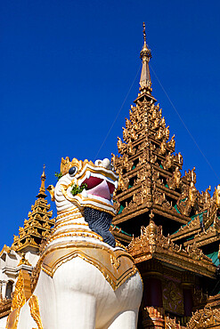 Chinthe statue at southern entrance to the Shwedagon pagoda, Yangon (Rangoon), Yangon Region, Myanmar (Burma), Asia