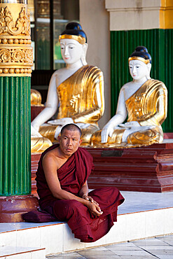 Buddhist monk sitting under Buddha statues, Shwedagon pagoda, Yangon (Rangoon), Yangon Region, Myanmar (Burma), Asia