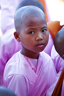 Young female monk, Phaung Daw Oo pagoda, Inle Lake, Shan State, Myanmar (Burma), Asia