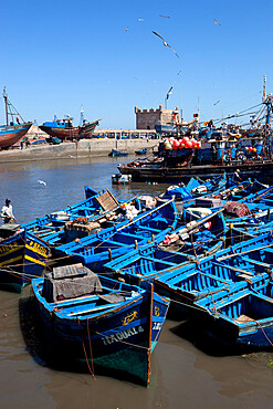 Fishing port with traditional boats in front of the old fort, Essaouira, Atlantic coast, Morocco, North Africa, Africa