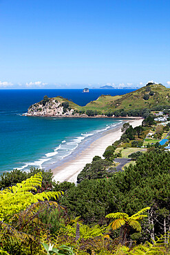 Hahei beach, Hahei, Coromandel Peninsula, Waikato, North Island, New Zealand, Pacific