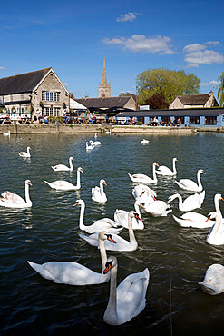 The Riverside Pub on the River Thames, Lechlade, Cotswolds, Gloucestershire, England, United Kingdom, Europe