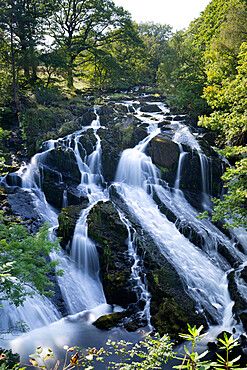 Swallow Falls, Betws-y-Coed, Snowdonia National Park, Conwy, Wales, United Kingdom, Europe