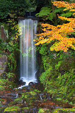 Midoritaki waterfall, Kenrokuen Garden, Kanazawa, Ishikawa Prefecture, Central Honshu, Japan, Asia