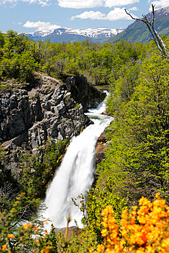 Cascada Vullignanco along the Seven Lakes Drive, San Martin de los Andes, Nahuel Huapi National Park, The Lake District, Argentina, South America