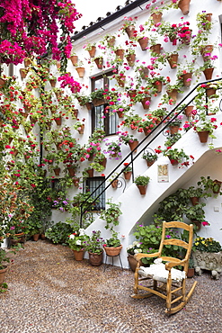 Colourful display of flowers at the Festival of the Patios, Cordoba, Andalucia, Spain, Europe