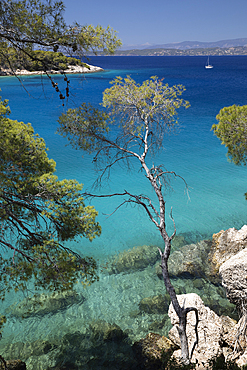 Zogeria beach with crystal clear blue water with pine trees and rocks, Spetses, Saronic Islands, Greek Islands, Greece, Europe