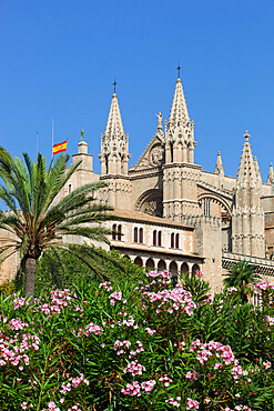 Palma Cathedral (La Seu), Palma de Mallorca, Mallorca (Majorca), Balearic Islands, Spain, Mediterranean, Europe