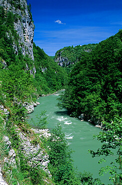 Tara Canyon and Tara River, Tramontana, Montenegro, Europe