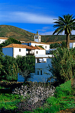 View over village, Betancuria, Fuerteventura, Canary Islands, Spain, Europe