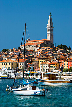 Old Town and St. Euphemia`s Church, Rovinj, Istria, Croatia, Adriatic, Europe